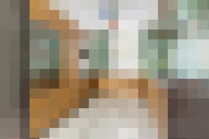Jacob Catsstraat 342 Rotterdam thumbnail 9