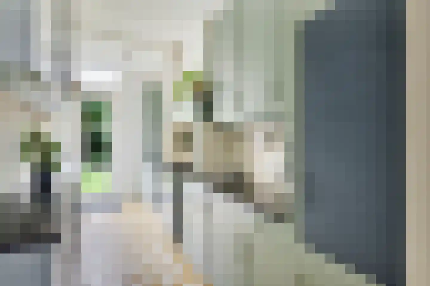Jacob Catsstraat 35 Utrecht thumbnail 12