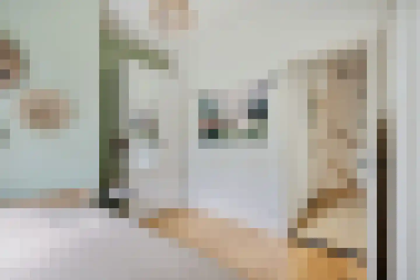 Jacob Catsstraat 35 Utrecht thumbnail 23