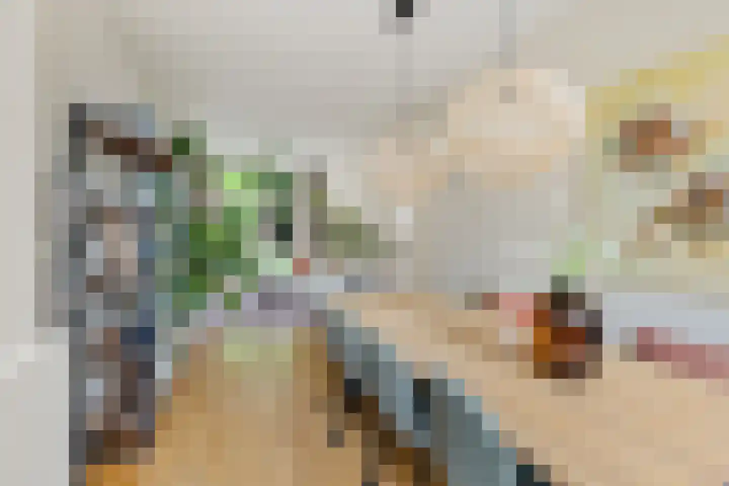 Jacob Catsstraat 35 Utrecht thumbnail 8