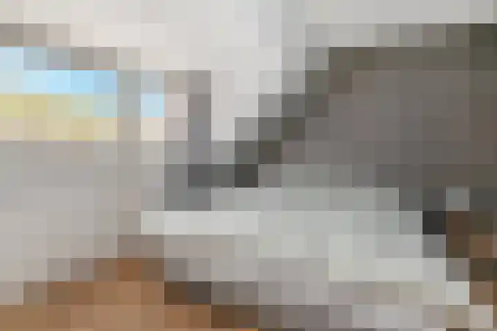 Jacob Catsstraat 35 Voorburg thumbnail 31