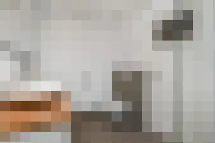 Jacob Catsstraat 35 Voorburg thumbnail 36