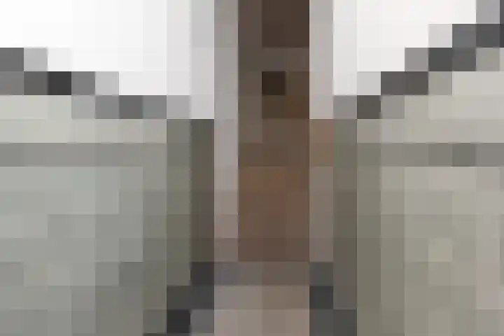 Jacob Catsstraat 35 Voorburg thumbnail 4