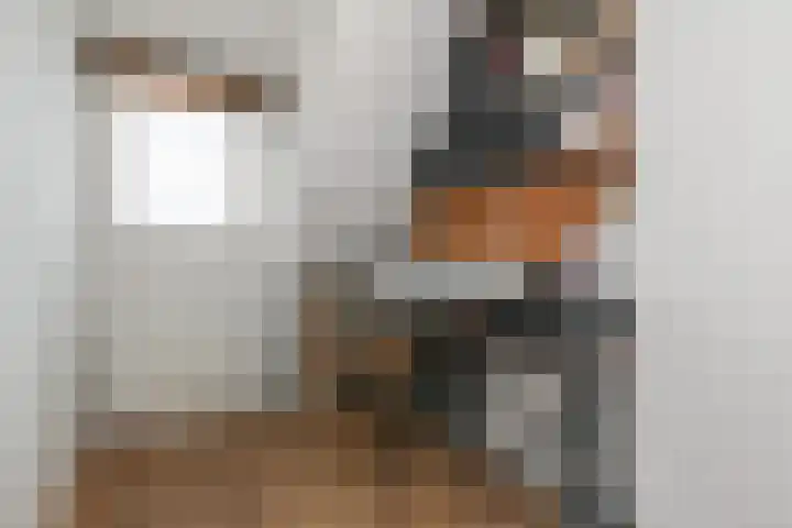 Jacob Catsstraat 35 Voorburg thumbnail 47
