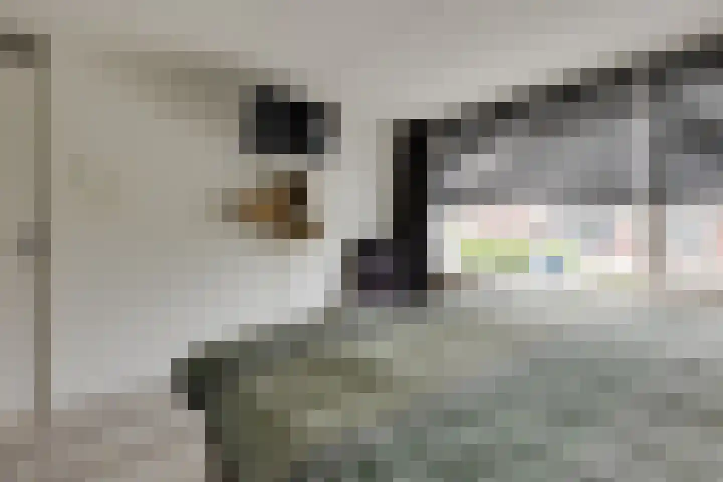 Jacob Catsstraat 36 Lichtenvoorde thumbnail 19