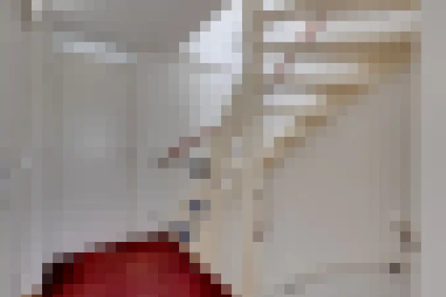 Jacob Catsstraat 36 Lichtenvoorde thumbnail 31
