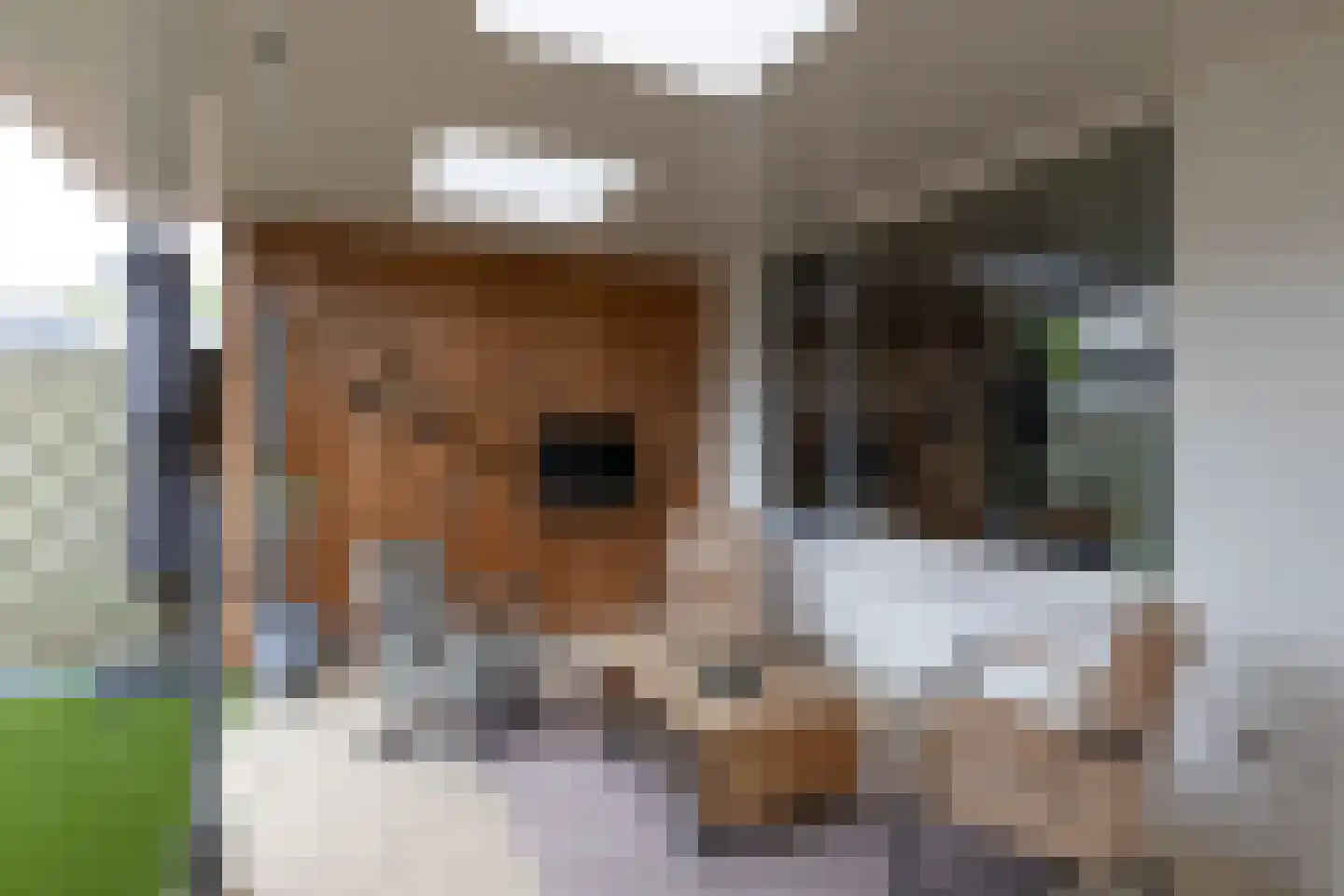 Jacob Catsstraat 36 Lichtenvoorde thumbnail 39
