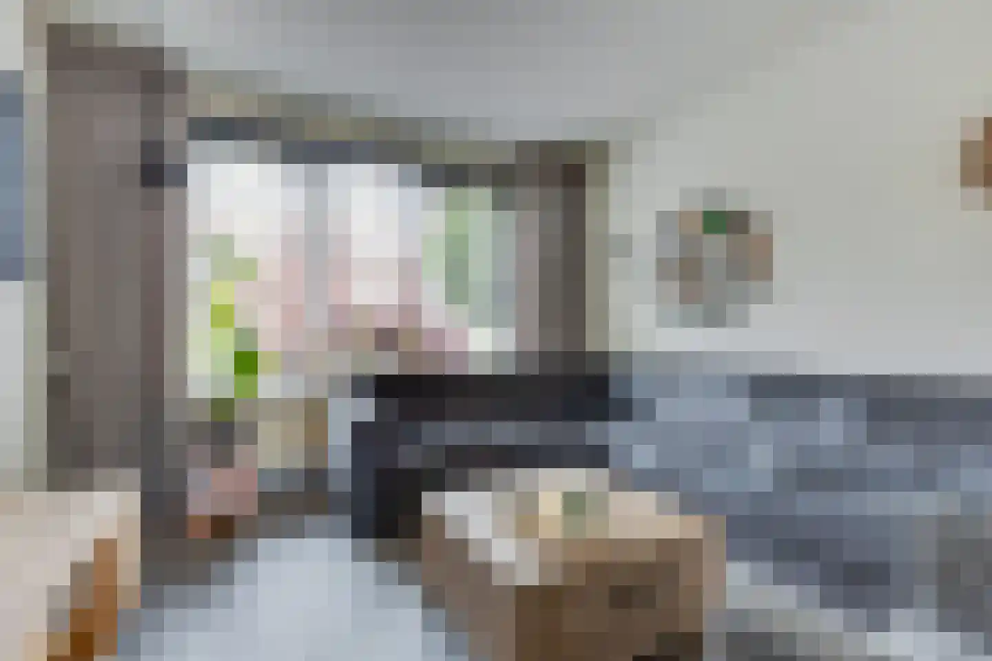 Jacob Catsstraat 36 Lichtenvoorde thumbnail 4
