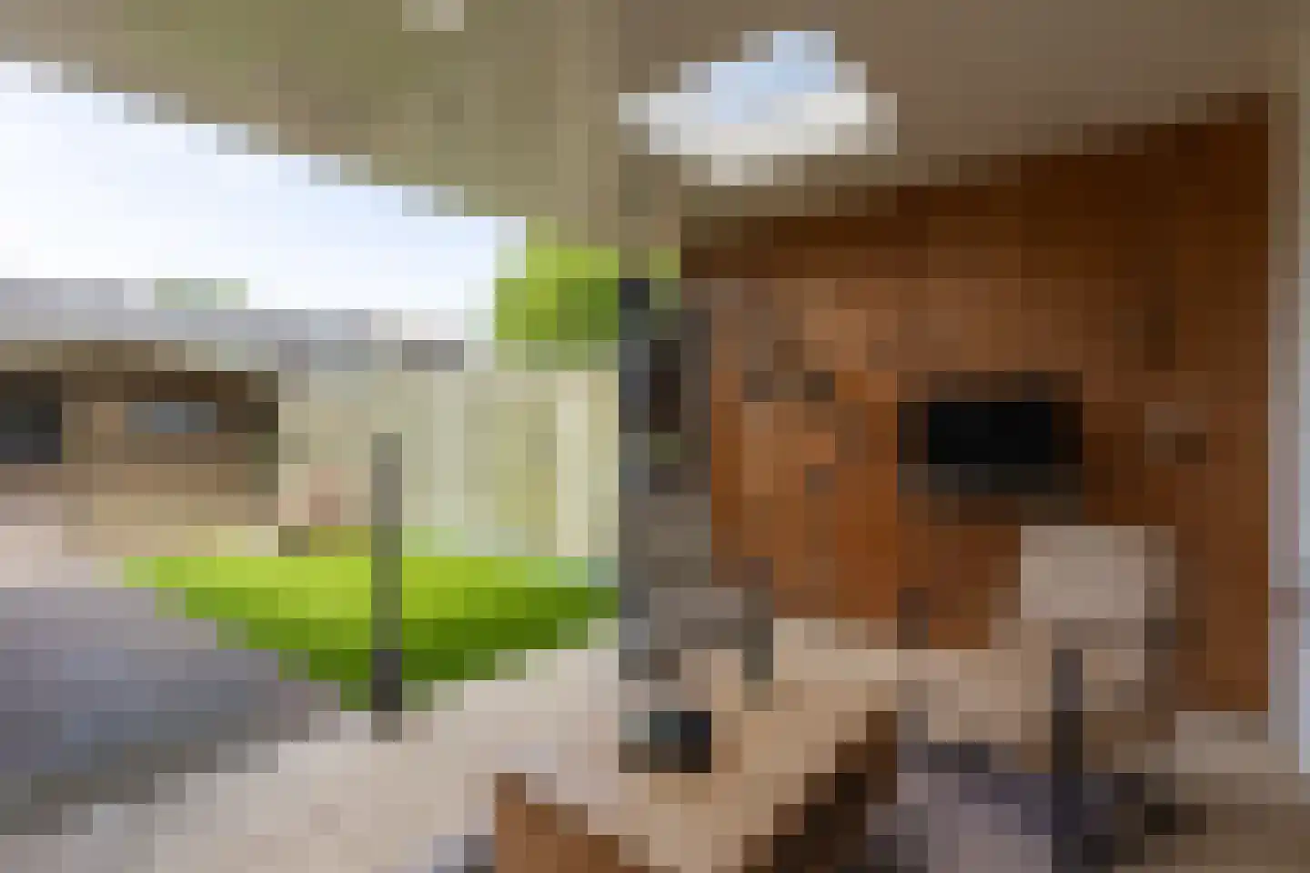 Jacob Catsstraat 36 Lichtenvoorde thumbnail 41