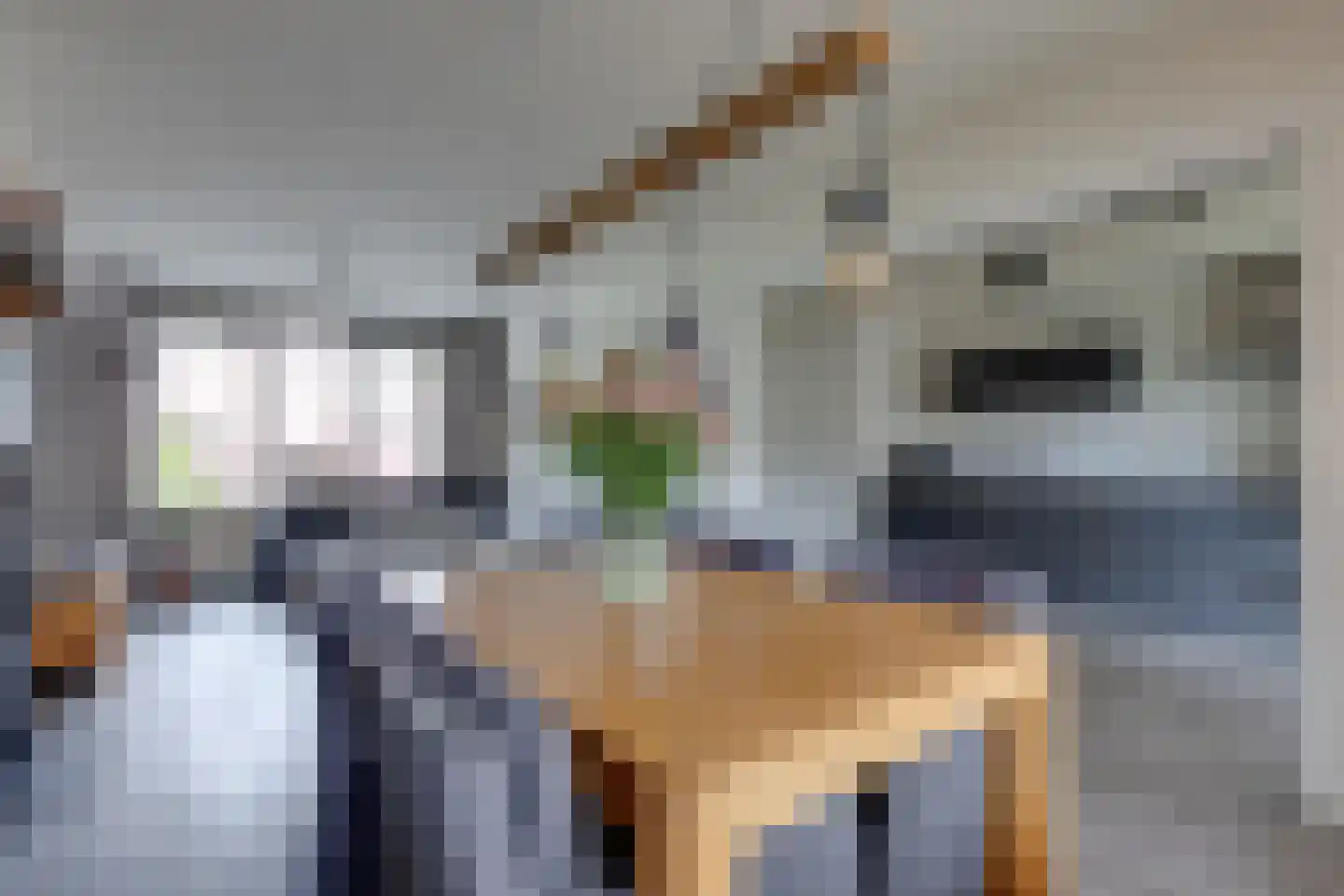 Jacob Catsstraat 36 Lichtenvoorde thumbnail 8