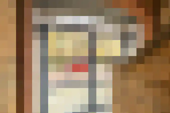 Jacob Catsstraat 37 Groningen thumbnail 10