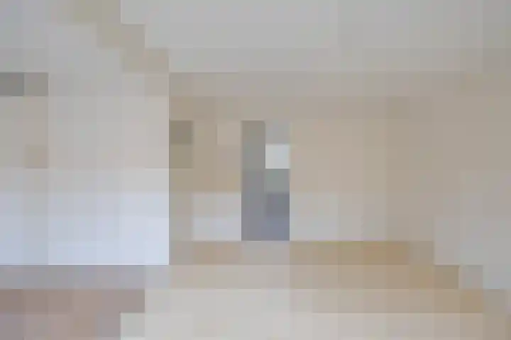 Jacob Catsstraat 37 Groningen thumbnail 17
