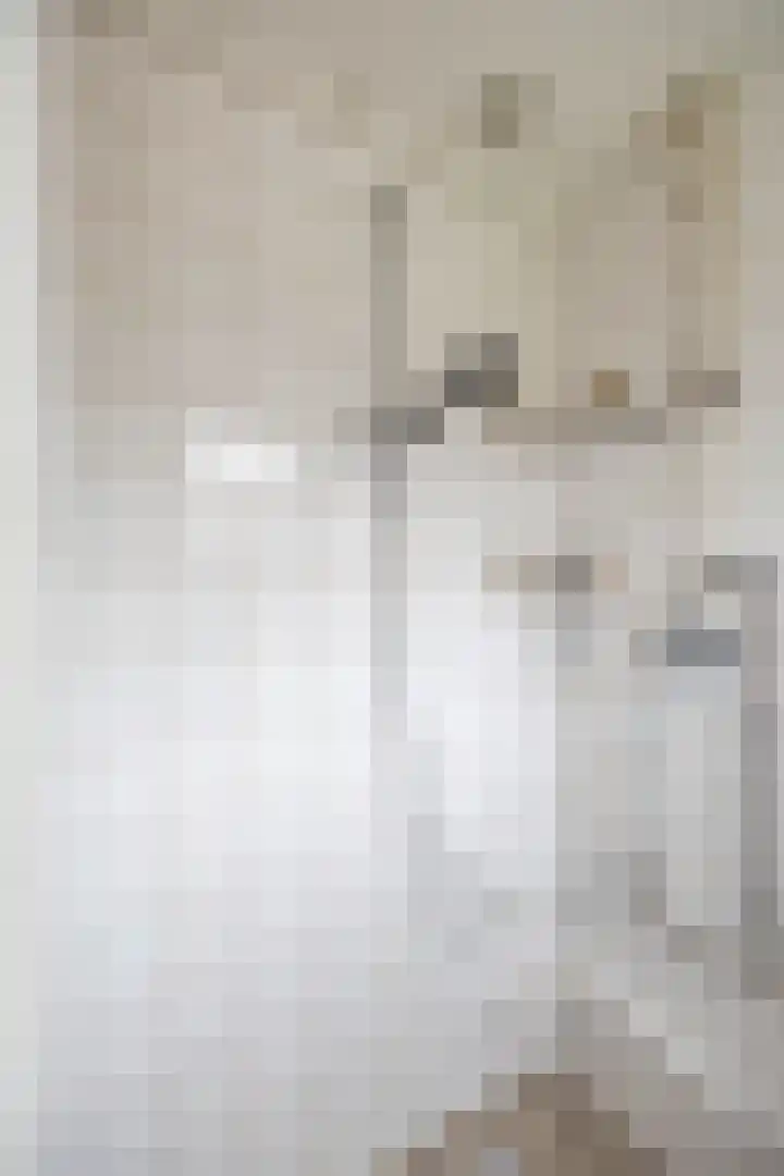 Jacob Catsstraat 37 Groningen thumbnail 25