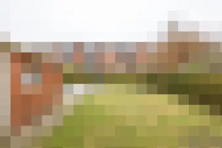 Jacob Catsstraat 37 Groningen thumbnail 5