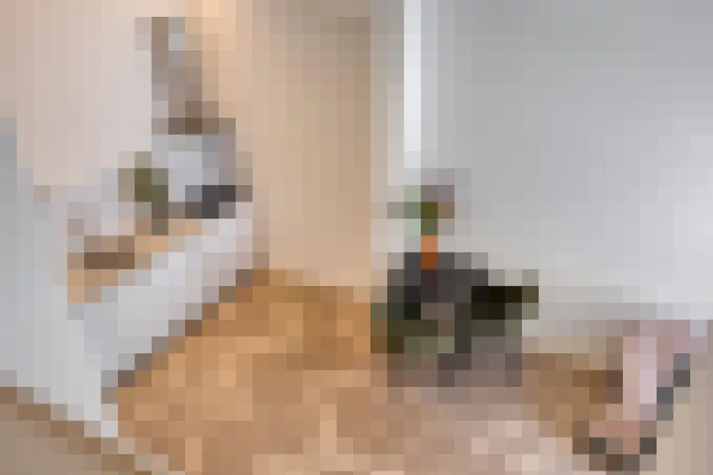 Jacob Catsstraat 38 A Utrecht thumbnail 16