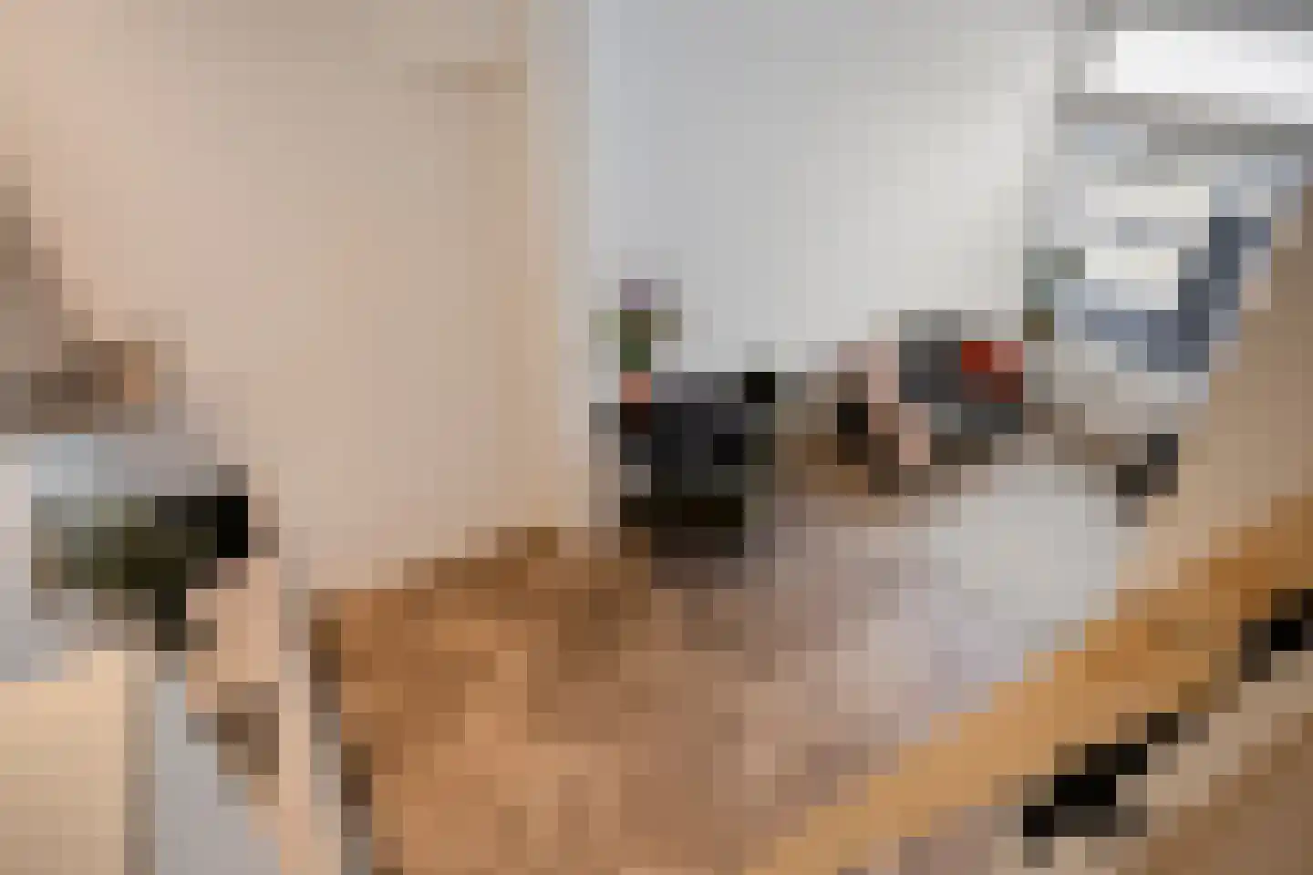 Jacob Catsstraat 38 A Utrecht thumbnail 17