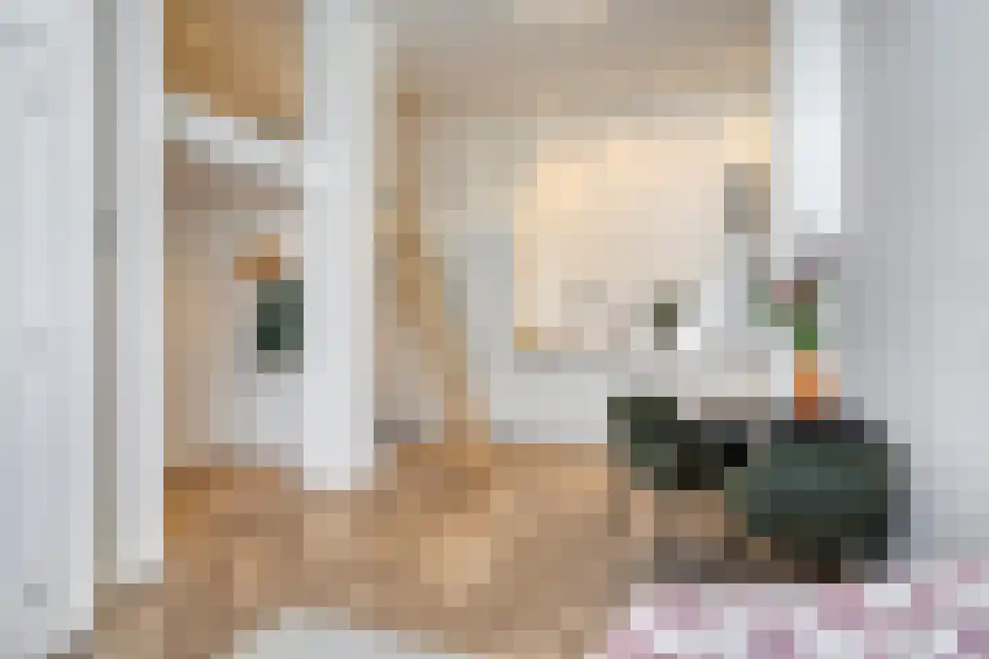Jacob Catsstraat 38 A Utrecht thumbnail 8