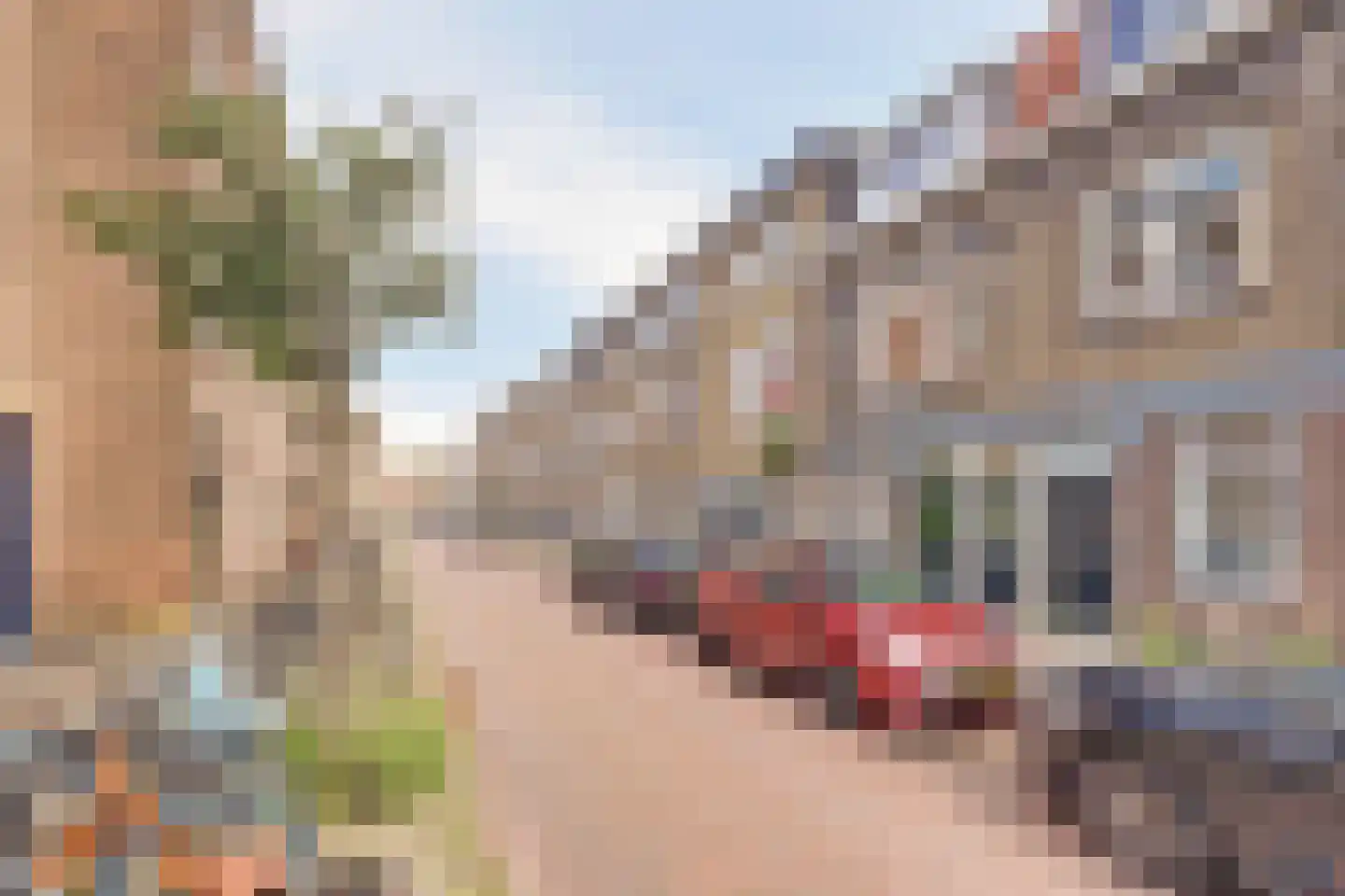 Jacob Catsstraat 38 Delft thumbnail 6