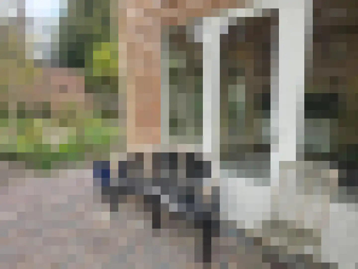 Jacob Catsstraat 40 Den Haag thumbnail 28