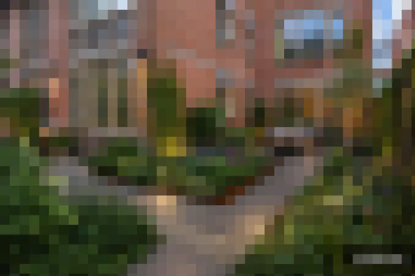 Jacob Catsstraat 40 Den Haag thumbnail 4