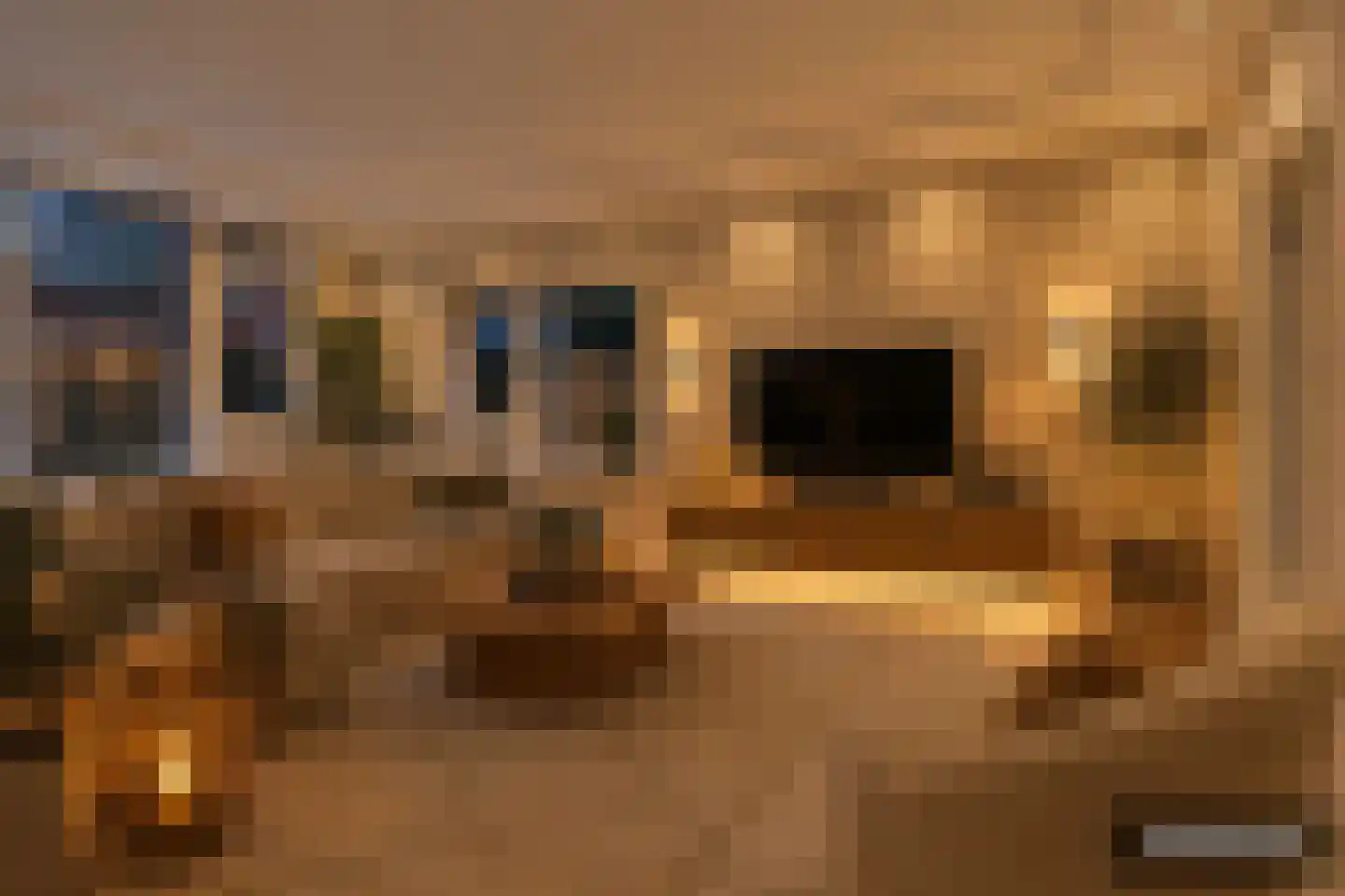 Jacob Catsstraat 40 Den Haag thumbnail 9