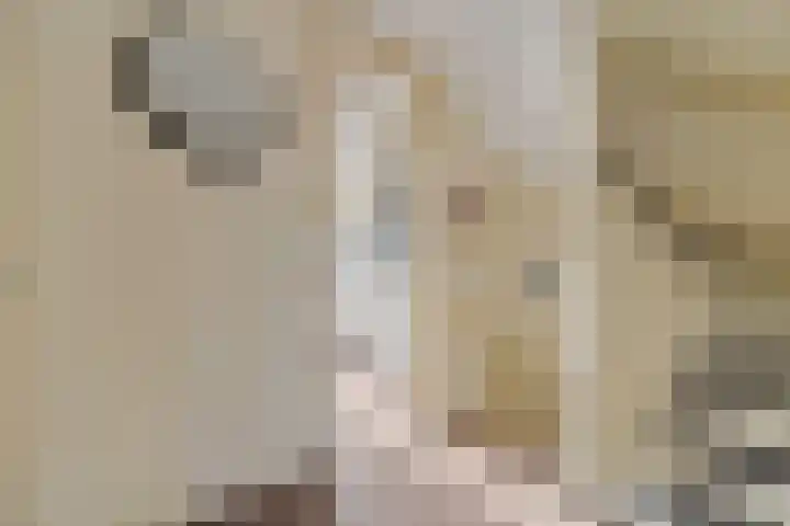 Jacob Catsstraat 41 Delft thumbnail 8