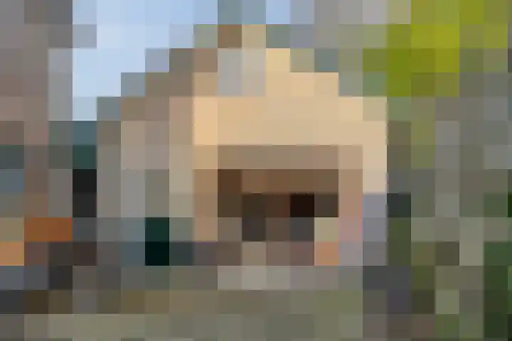 Jacob Catsstraat 42 Barneveld thumbnail 34
