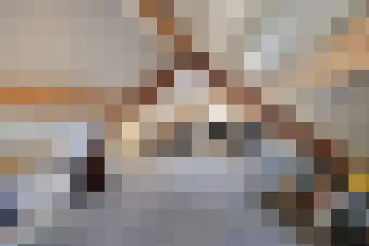 Jacob Catsstraat 42 Barneveld thumbnail 39