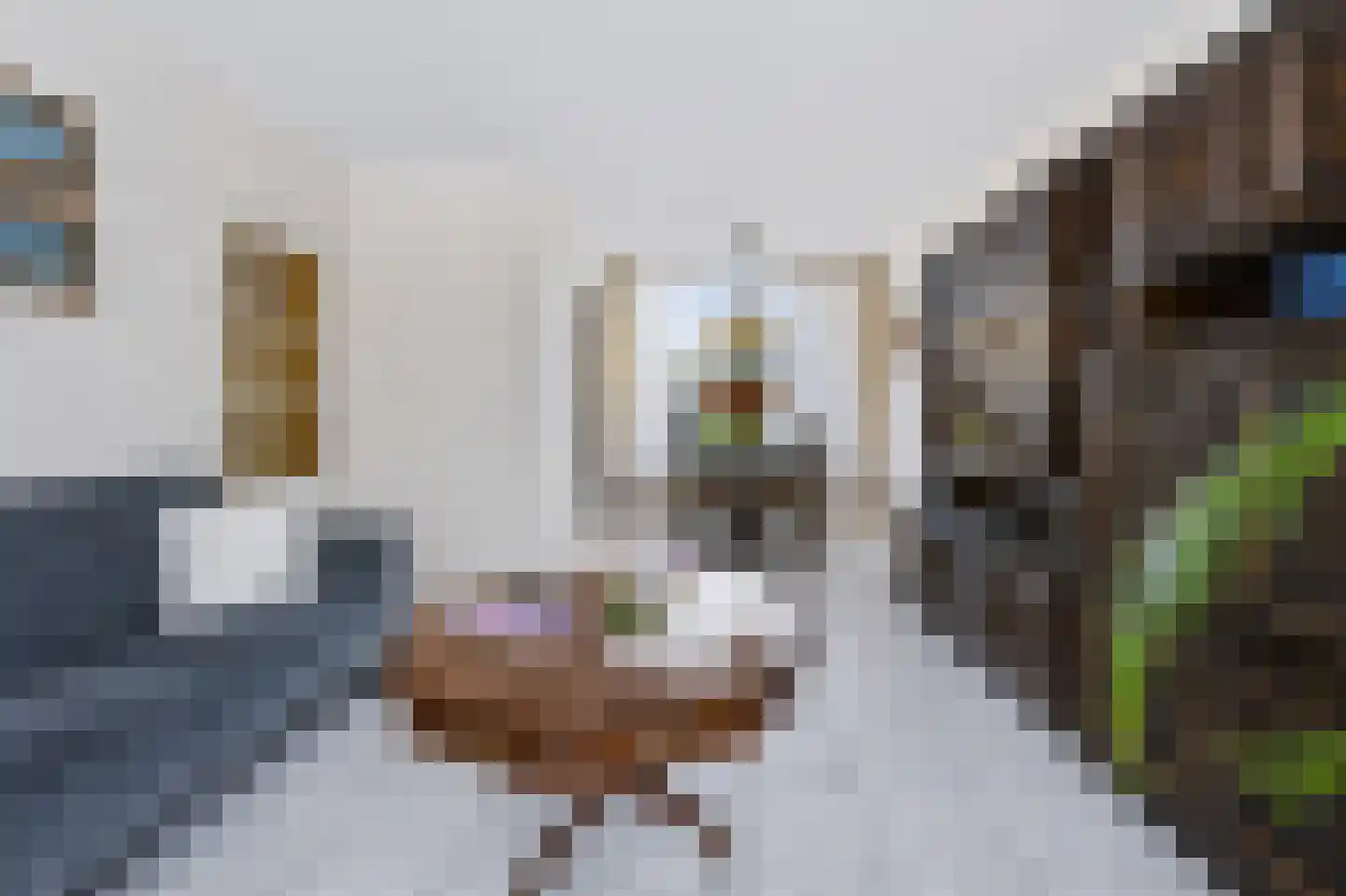 Jacob Catsstraat 42 Spijkenisse thumbnail 15