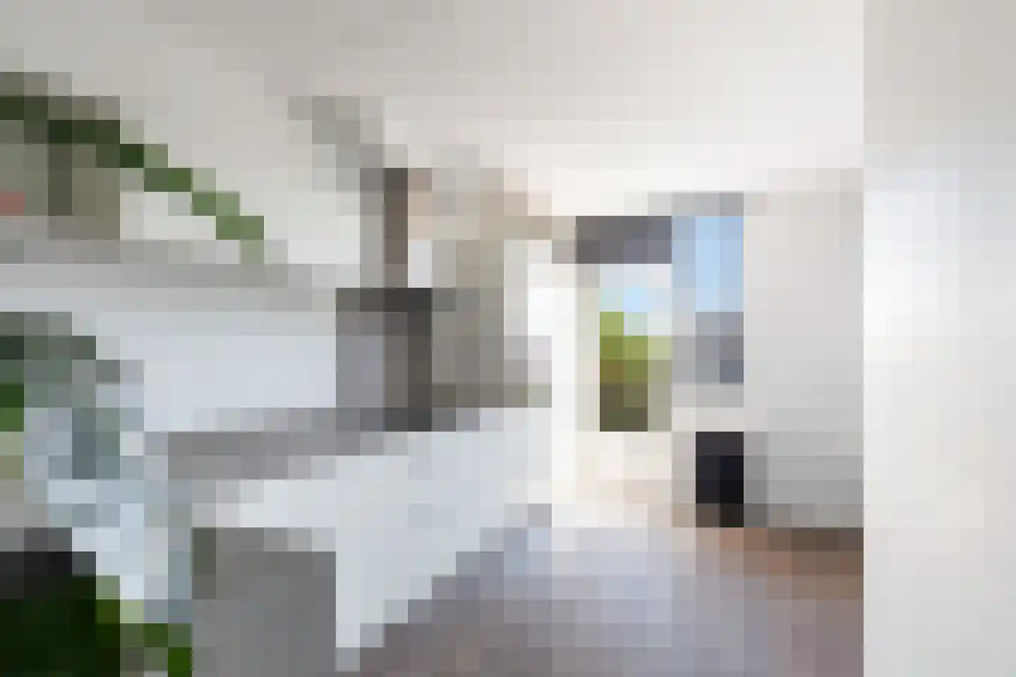 Jacob Catsstraat 422 Rotterdam thumbnail 10