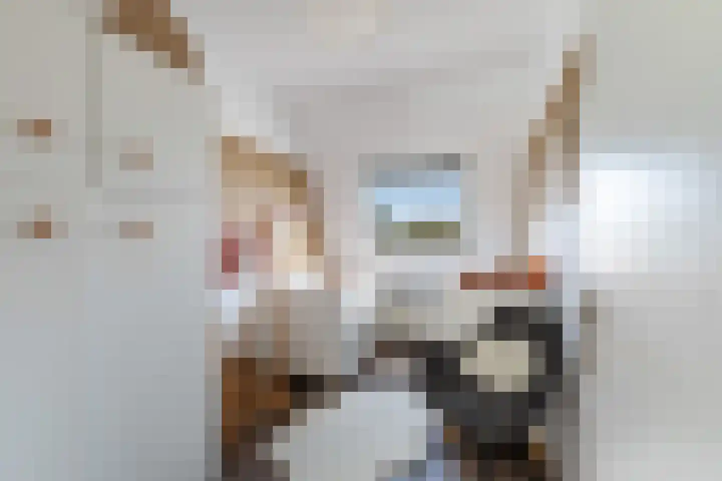 Jacob Catsstraat 422 Rotterdam thumbnail 18
