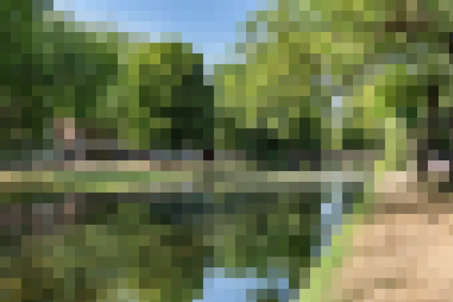 Jacob Catsstraat 422 Rotterdam thumbnail 5