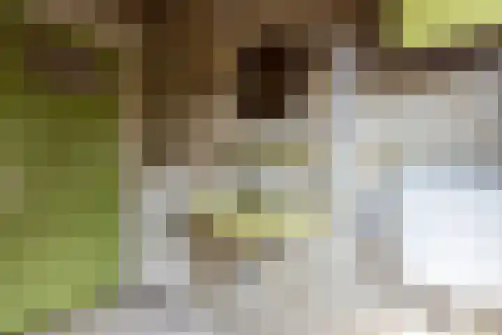 Jacob Catsstraat 43 Hilversum thumbnail 11