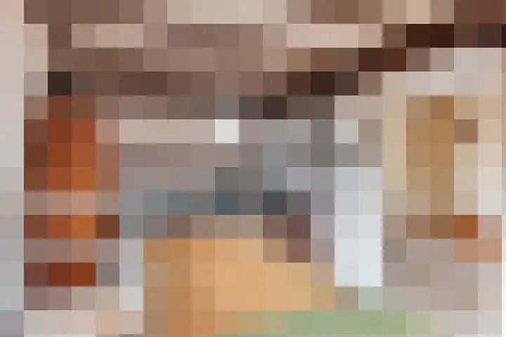 Jacob Catsstraat 43 Hilversum thumbnail 21