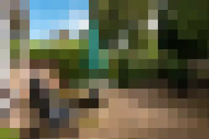 Jacob Catsstraat 43 Hilversum thumbnail 25