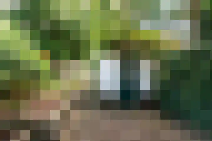 Jacob Catsstraat 43 Hilversum thumbnail 27