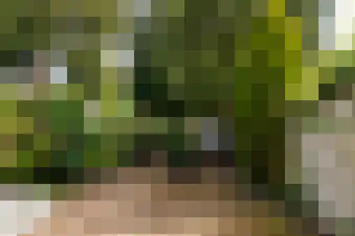 Jacob Catsstraat 43 Hilversum thumbnail 29