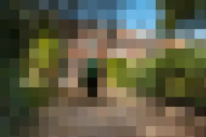 Jacob Catsstraat 43 Hilversum thumbnail 30
