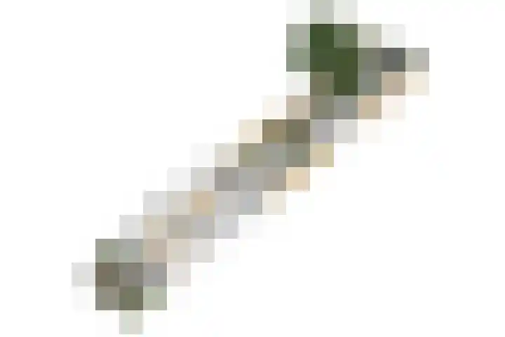 Jacob Catsstraat 43 Hilversum thumbnail 36