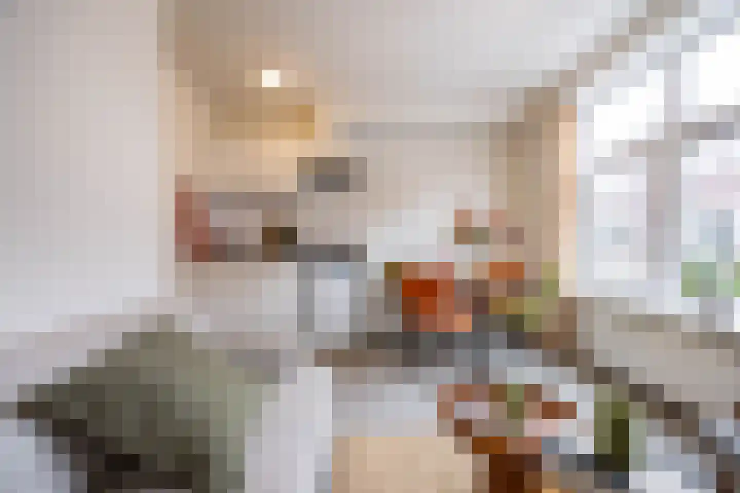 Jacob Catsstraat 44 Delft thumbnail 11