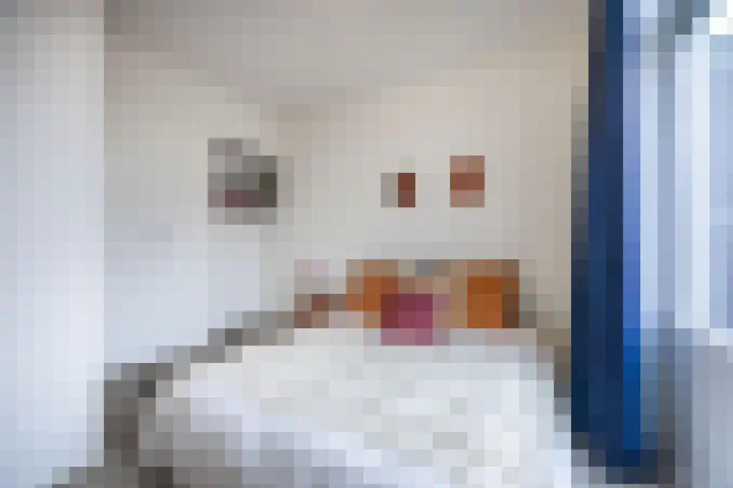 Jacob Catsstraat 44 Delft thumbnail 16