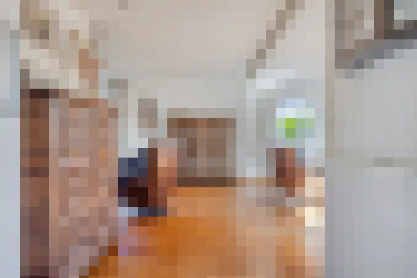 Jacob Catsstraat 447 Kampen thumbnail 16