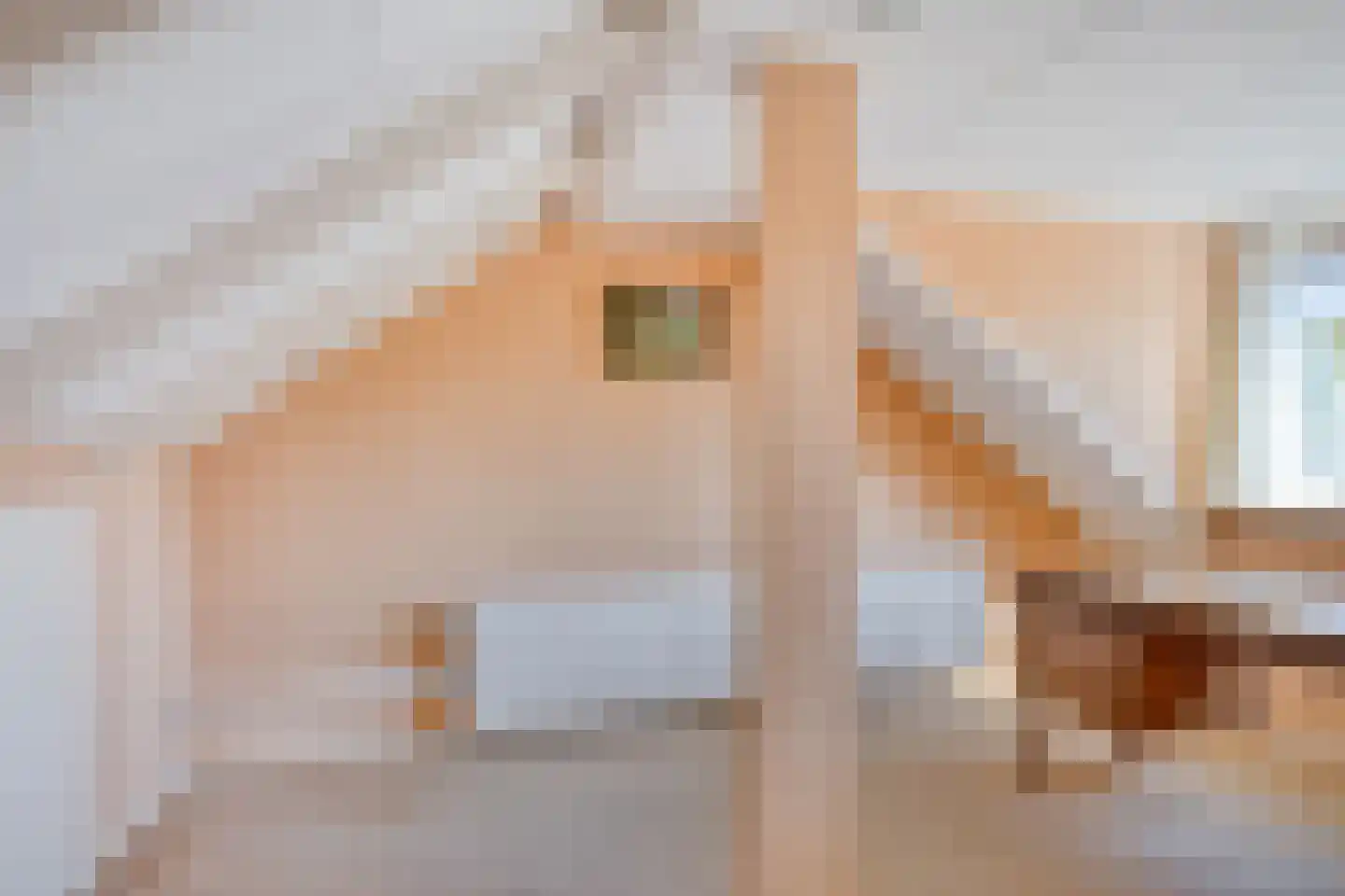 Jacob Catsstraat 447 Kampen thumbnail 28
