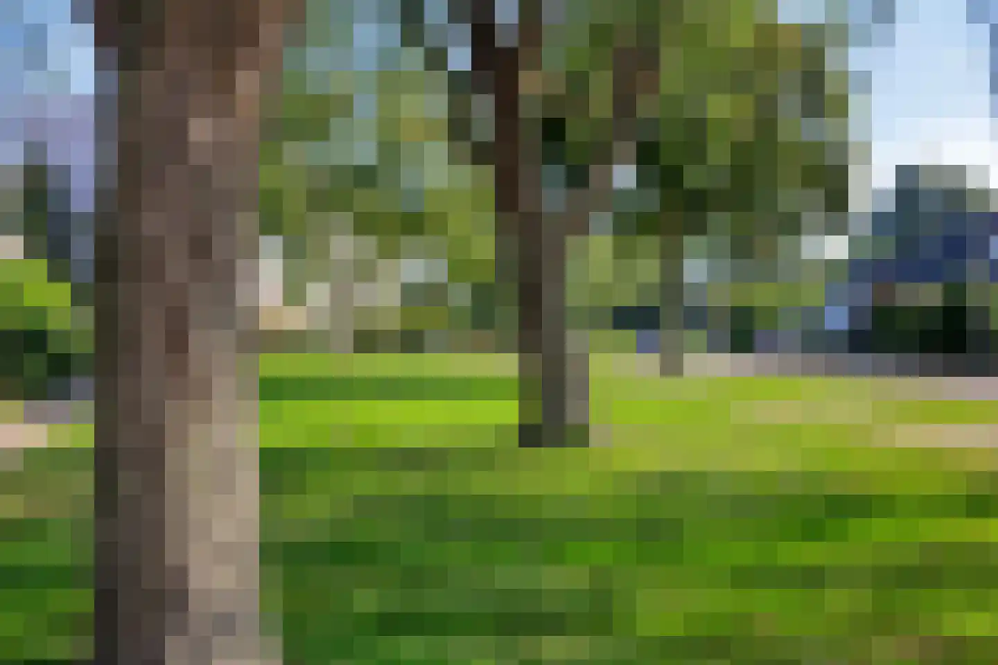 Jacob Catsstraat 447 Kampen thumbnail 40