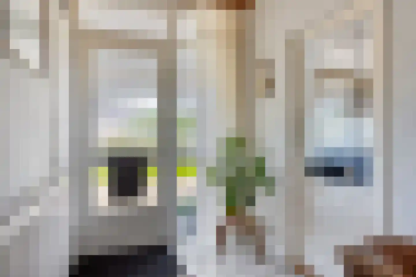Jacob Catsstraat 447 Kampen thumbnail 6