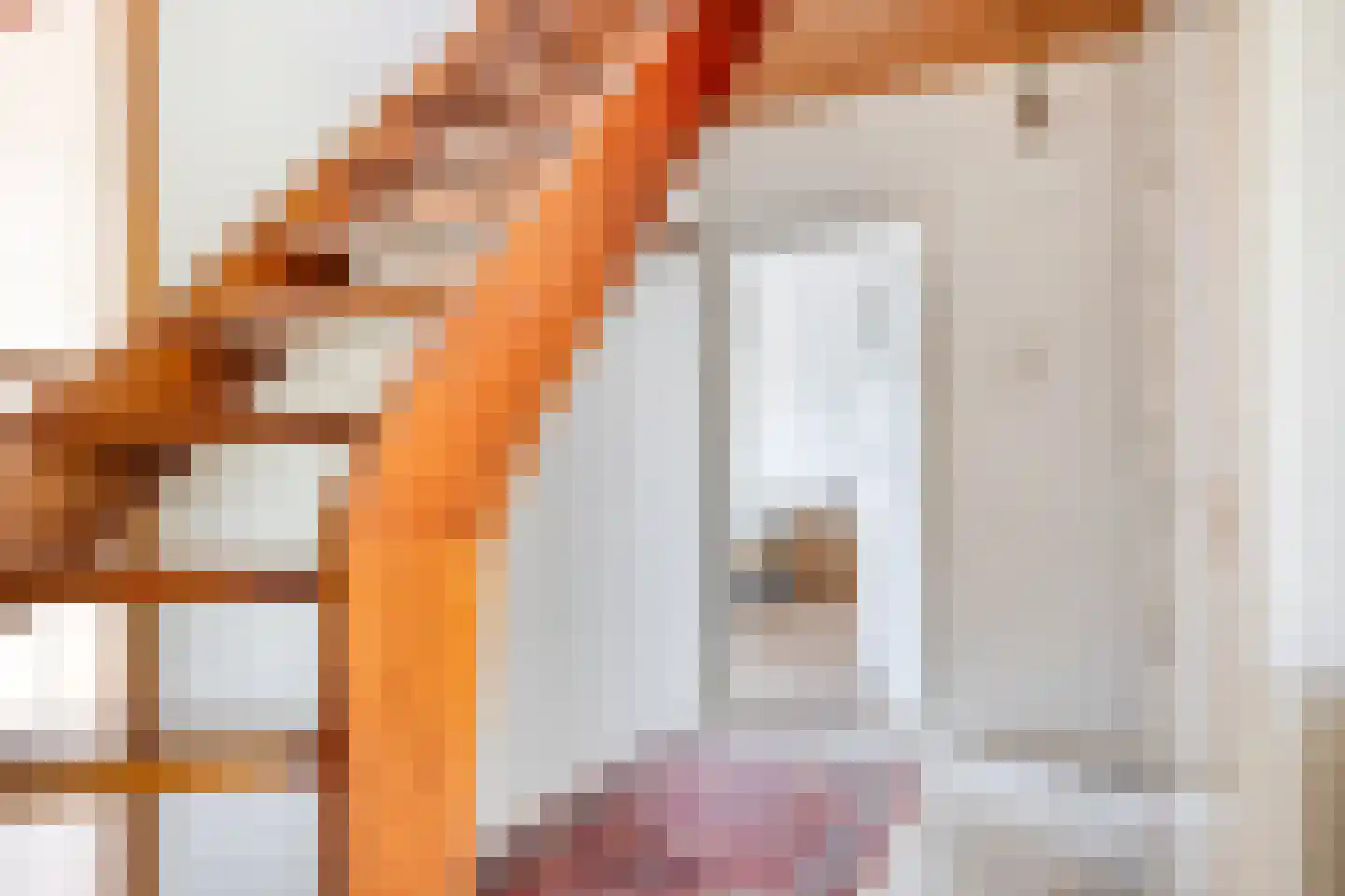 Jacob Catsstraat 447 Kampen thumbnail 7