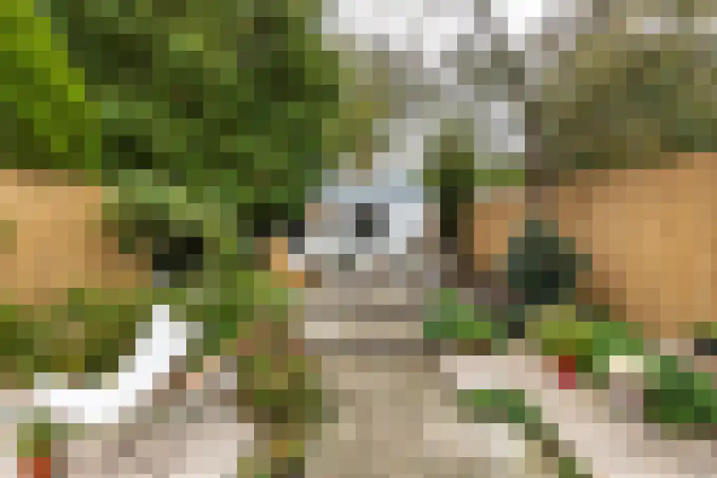 Jacob Catsstraat 45 Hilversum thumbnail 4