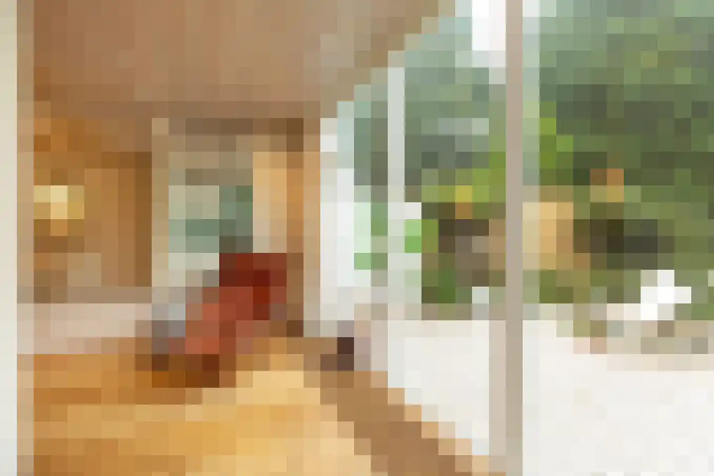 Jacob Catsstraat 45 Hilversum thumbnail 7