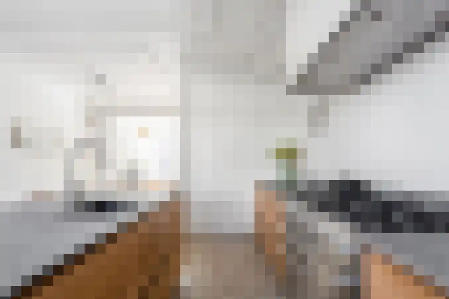 Jacob Catsstraat 45 Rotterdam thumbnail 17