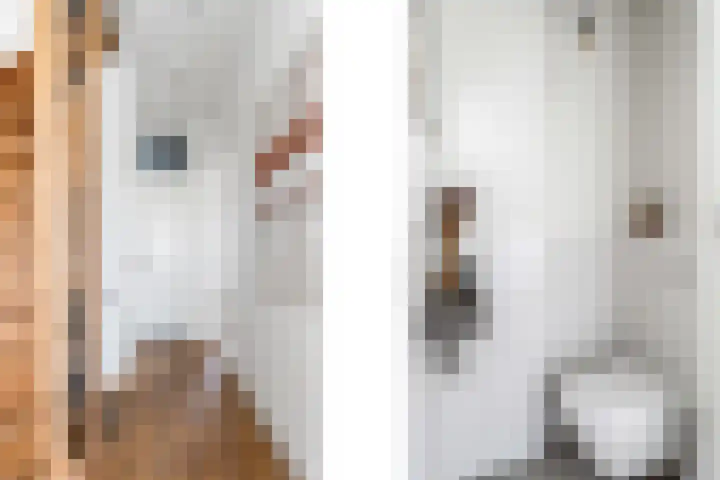 Jacob Catsstraat 45 Rotterdam thumbnail 25